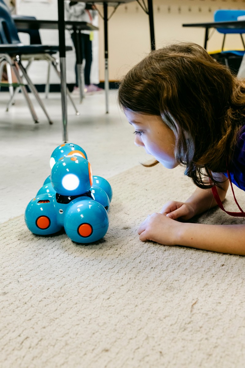 A student admires a Dash robot, exploring its ability to drive, follow programmed movements and respond through built in sensors.